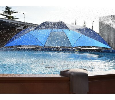Зонт для бассейна Intex 28050 Фото