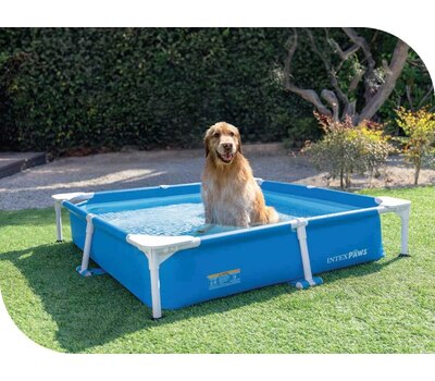 Каркасный бассейн для собак Intex 48402 152х152х30