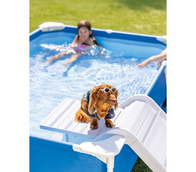 Каркасный бассейн для собак Intex 48404 229х152х46