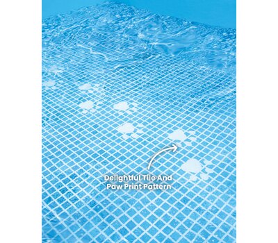 Изображение лапок на дне бассейна