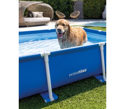 Каркасный бассейн для собак Intex 48404 229х152х46