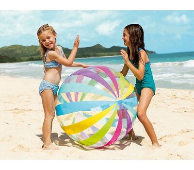 Мяч "Джамбо" Intex 59065